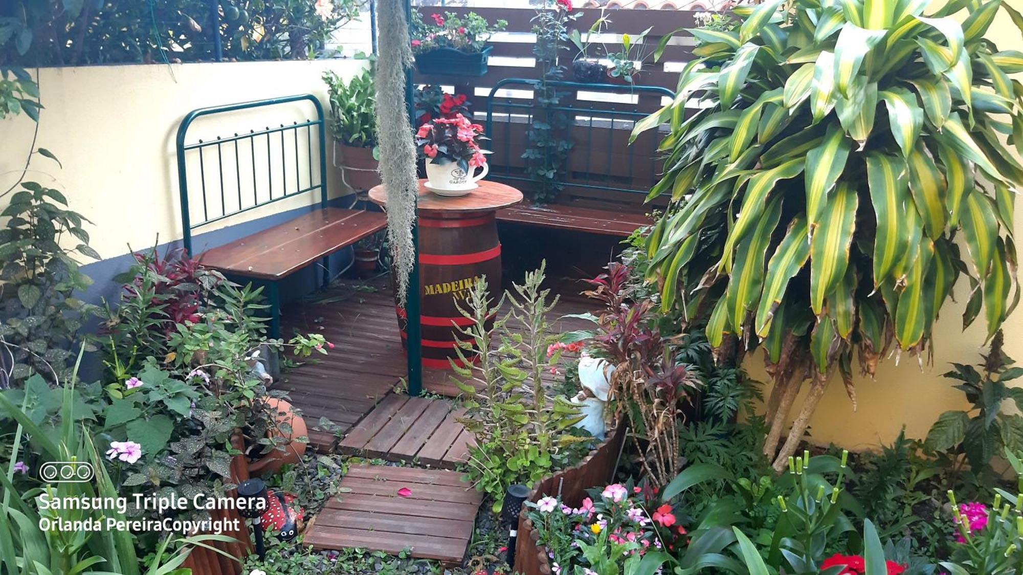 Terra Cha Cottage,Feel Home, São Vicente Eksteriør bilde