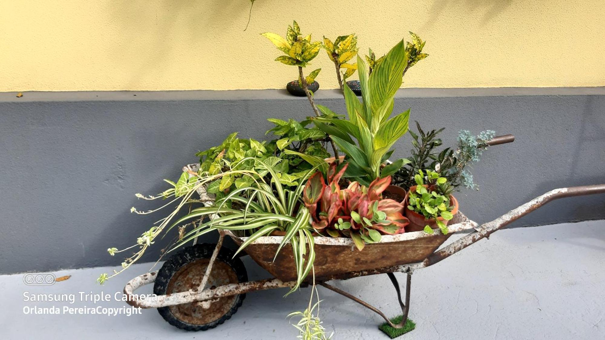 Terra Cha Cottage,Feel Home, São Vicente Eksteriør bilde